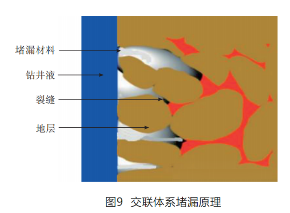 图 9.png